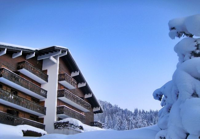 Appartement à Les Carroz d'Arâches - Les Carroz, skis aux pieds, location d'un appartement pour 6 personnes Appartement à Les Carroz d'Arâches - Les Carroz, skis aux pieds, location d'un appartement pour 6 personnes