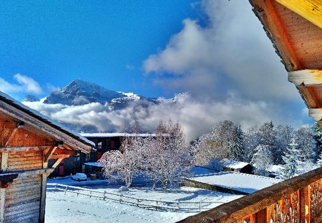 Chalet à Les Carroz d'Arâches - Chalet individuel pour 12 personnes, à 800 m de la télécabine Chalet à Les Carroz d'Arâches - Chalet individuel pour 12 personnes, à 800 m de la télécabine