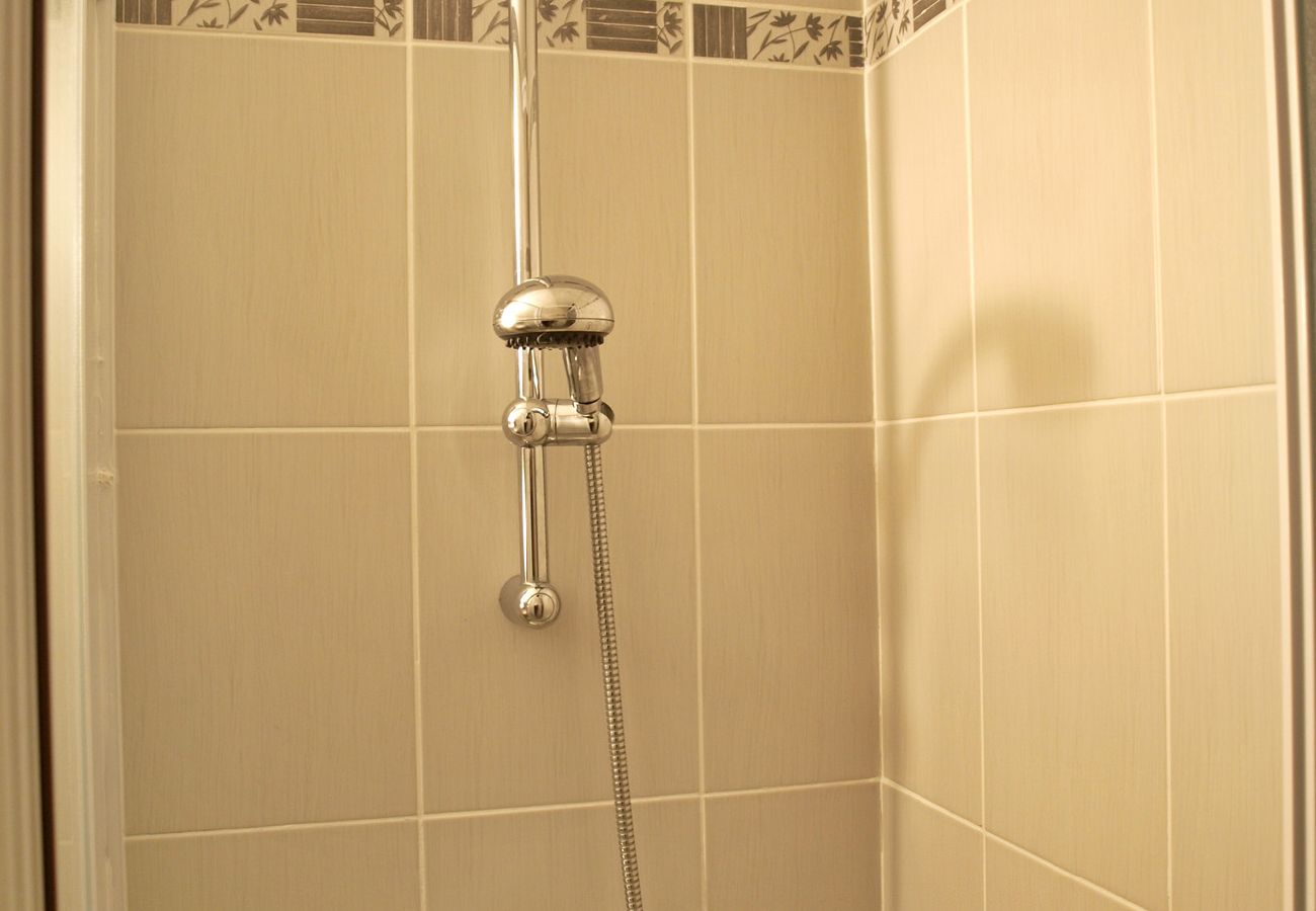 Appartement à Les Carroz d'Arâches - Appartement 4 personnes, proche centre - MAZ408