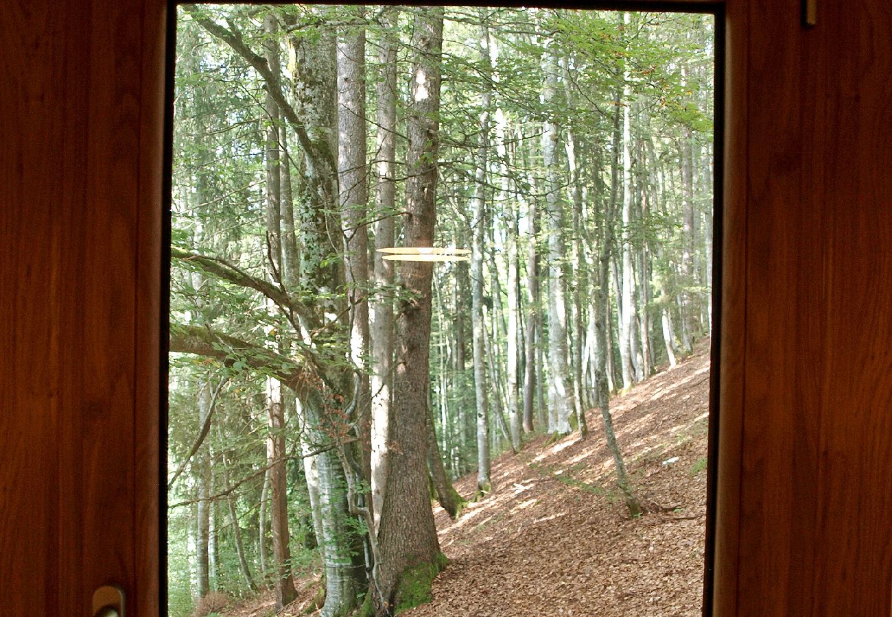 Appartement à Arâches-la-Frasse - Location d'un appartement de vacances pour 6 personnes aux Carroz d'Arâches - GVA379