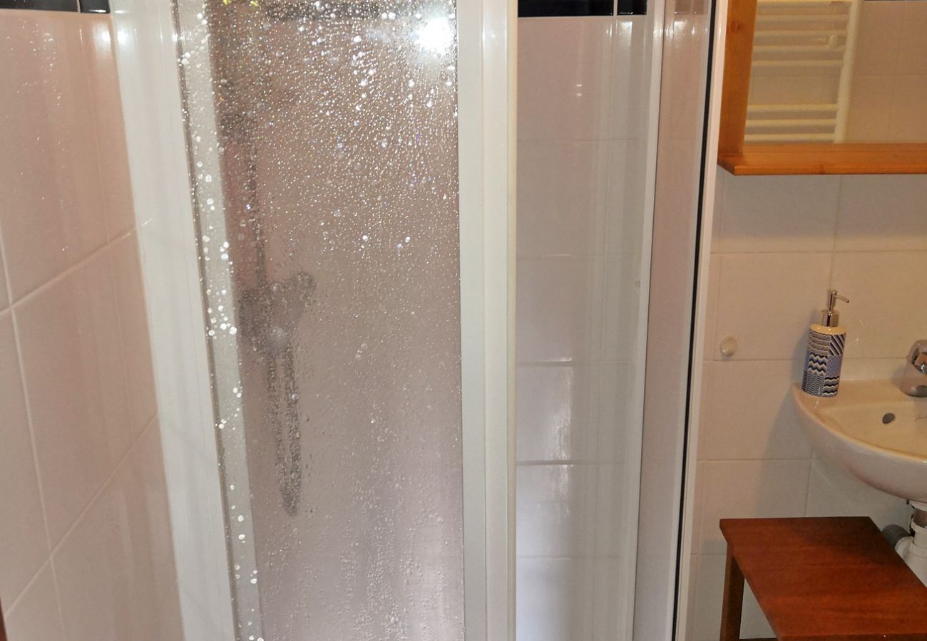 Appartement à Les Carroz d'Arâches - Appartement 4 à 6  personnes proche du télécabine et des pistes - CPS599