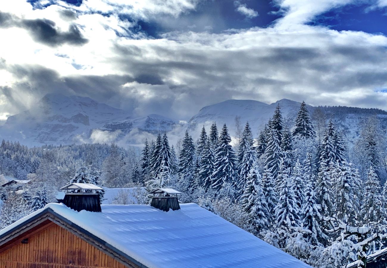 Chalet à Les Carroz d'Arâches - Magnifique chalet, 12 personnes, 6 chambres ,  3 salles d'eau,  Les Carroz  domaine skiable du Grand Massif  - NAN620