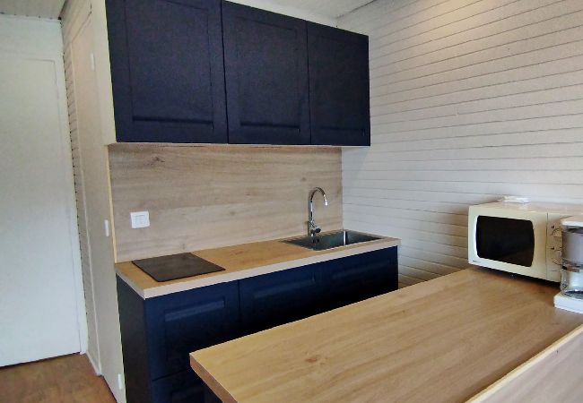 Appartement à Les Carroz d'Arâches - Appartement entièrement rénové, pour 4 personnes, au centre de la station - GVA631