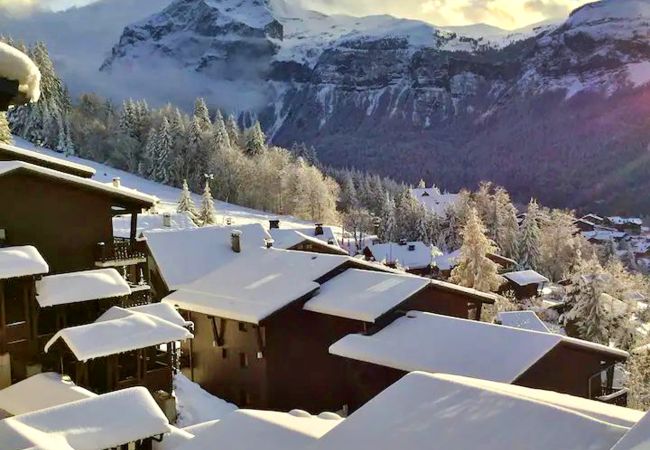 Appartement à Les Carroz d'Arâches - Appartement pied des pistes 4 personnes-FDN643