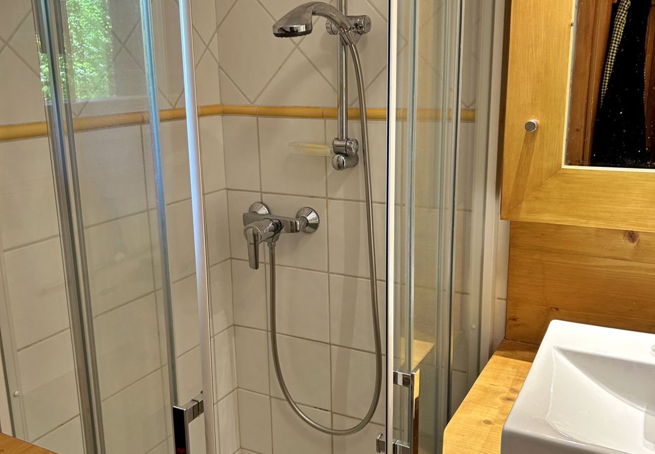 Appartement à Les Carroz d'Arâches - Appartement de vacances 3 pièces 4 personnes aux Carroz d'Arâches - ALP653