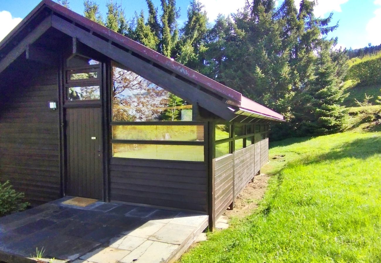 Chalet à Les Carroz d'Arâches - Chalet Norvégien pour 6 pers proche du télécabine
