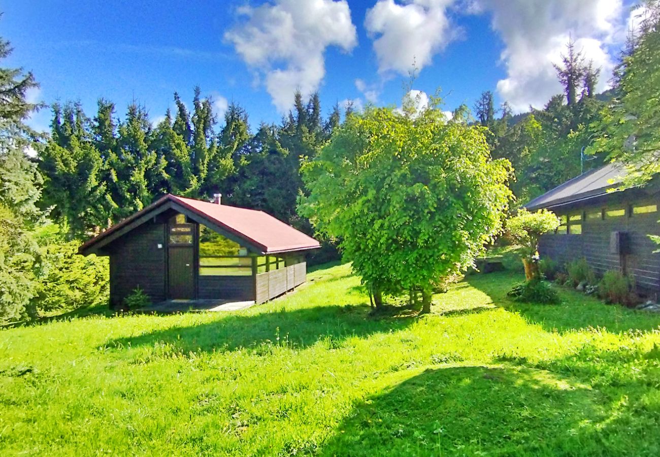 Chalet à Les Carroz d'Arâches - Chalet Norvégien pour 6 pers proche du télécabine