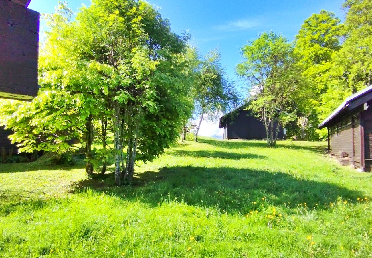 Chalet à Les Carroz d'Arâches - Chalet Norvégien pour 6 pers proche du télécabine