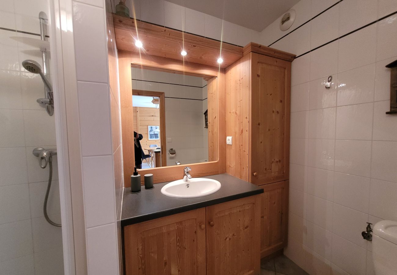 Appartement à Les Carroz d'Arâches - Appartement 2  pièces 3 personnes  Proche centre et ski bus - EBR660